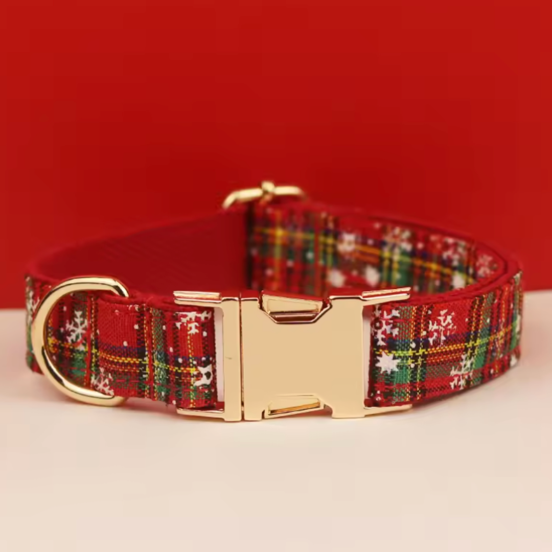 クリスマス首輪