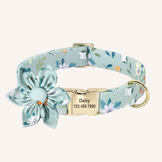 レイクブルー首輪