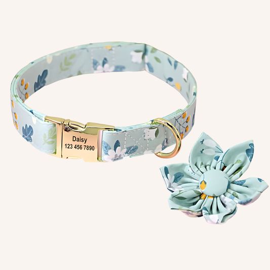 レイクブルー首輪