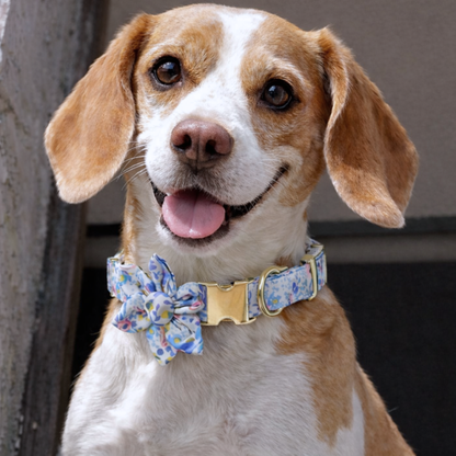 ブルーフラワー首輪